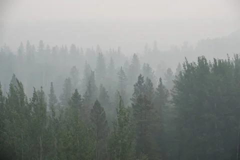 Wildfire smoke Stock Photos