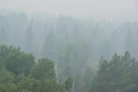 Wildfire smoke Stock Photos