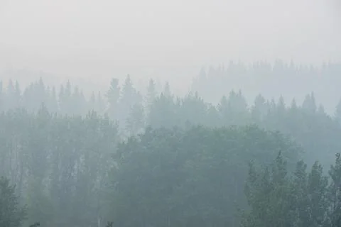 Wildfire smoke Stock Photos