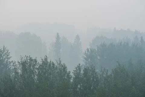 Wildfire smoke Stock Photos