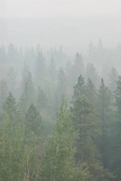 Wildfire smoke Stock Photos