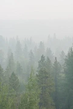Wildfire smoke Stock Photos