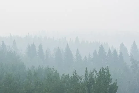 Wildfire smoke Stock Photos