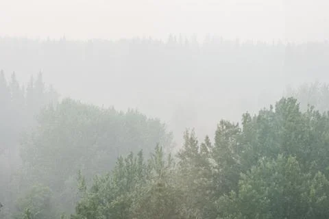 Wildfire smoke Stock Photos