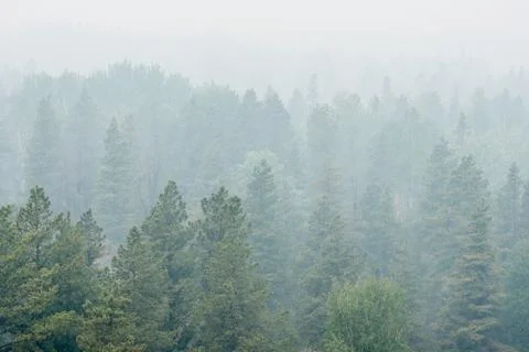 Wildfire smoke Stock Photos