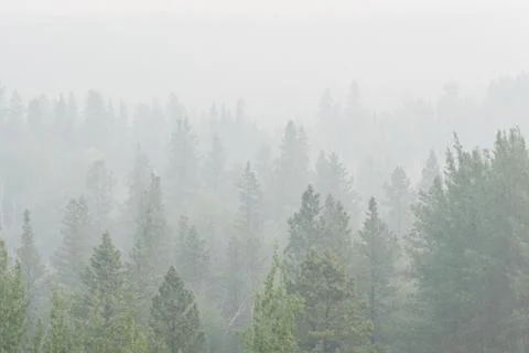 Wildfire smoke Stock Photos