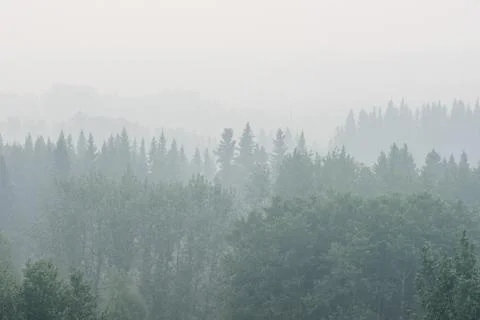 Wildfire smoke Stock Photos