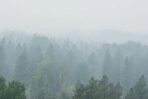 Wildfire smoke Foto stock