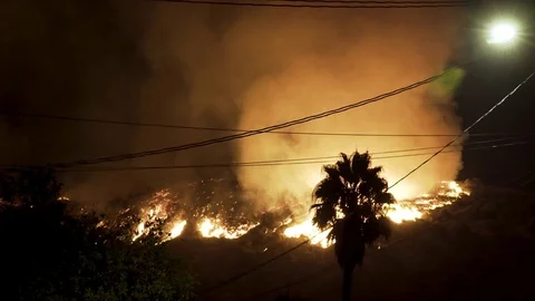 Wildfire Smoke Swirling Stock-Footage 79938372
