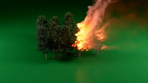 Wildfire Spreading Through Green Forest Trees Stock Footage 334979522