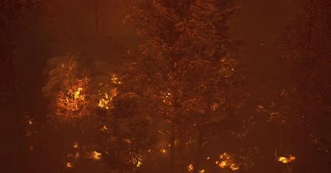 Wildfire spreads rapidly through forest during night in dry conditions Stock Illustration