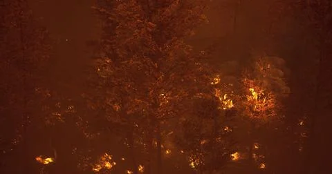 Wildfire spreads rapidly through forested area during nighttime conditions Stock Illustration