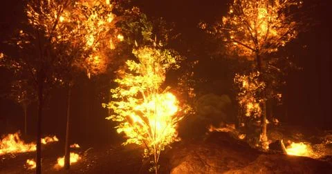 Wildfire spreads rapidly through forested area during nighttime blaze Stock Illustration