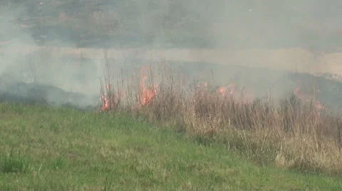 Wildfire Start Stock Footage 54754591