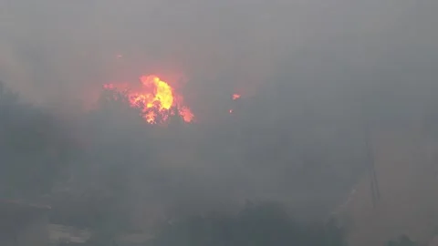 Wildfire strong wind and smoke sequence Stock Footage 133948489
