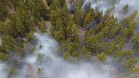 Wildfire from the top Stock Footage 86152124
