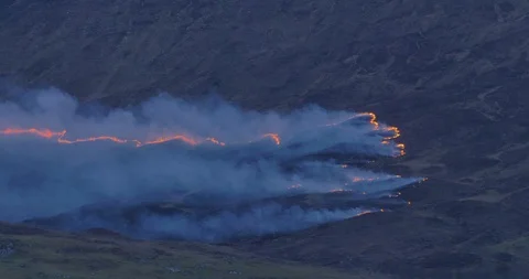 Wildfire two Stock Footage 108876544