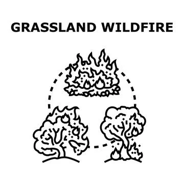 Wildfire types burning trees and grassland environment Stock-Illustration