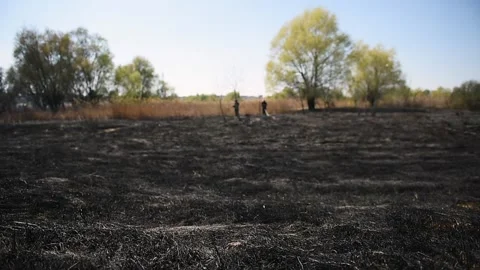 Wildfire in Vacaresti Natural Park, the largest green space in Bucharest 스톡 동영상 192528532