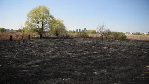 Wildfire in Vacaresti Natural Park, the largest green space in Bucharest 스톡 동영상 192528538