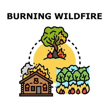 Wildfire vector concept illustrating nature forest and house burning Stock Illustration