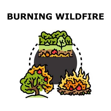 Wildfire vector icon depicting forest burning Stock Illustration
