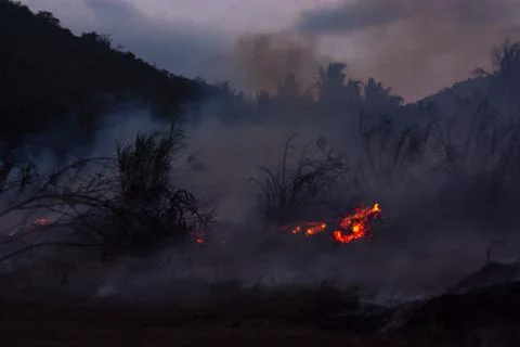 Wildfire while drought close-up flame. Smoke and air Pollution from agricultu 库存照片