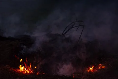 Wildfire while drought close-up flame. Smoke and air Pollution from agricultu 库存照片