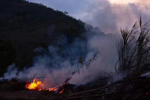 Wildfire while drought at night, close-up. Smoke and air Pollution from agric 스톡 사진