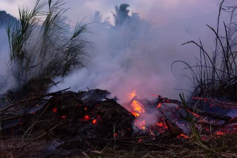 Wildfire while drought at night, close-up. Smoke and air Pollution from agric Фото
