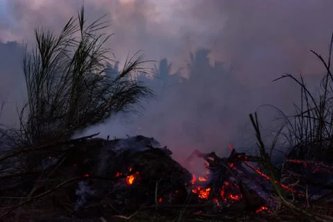 Wildfire while drought at night, close-up. Smoke and air Pollution from agric Stock Photos