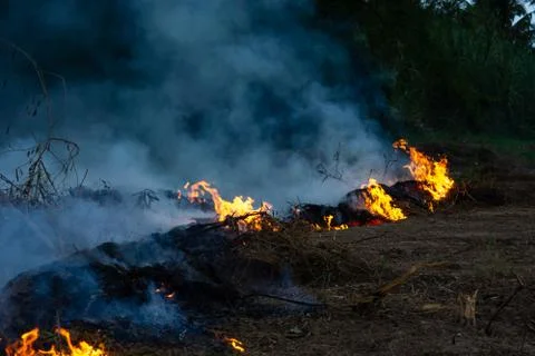 Wildfire while drought at night, close-up. Smoke and air Pollution from agric Фото