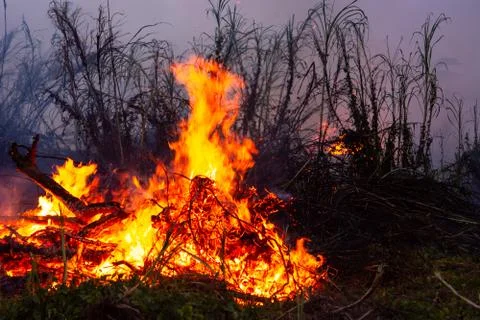Wildfire while drought at night, close-up. Smoke and air Pollution from agric Stock Photos