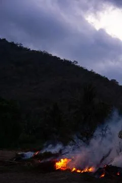 Wildfire while drought at night, close-up. Smoke and air Pollution from agric Stock Photos