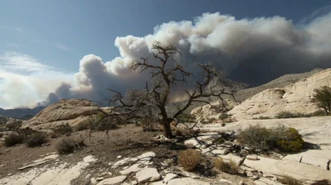 Wildfire wilderness landscape desert epic adventure 10 Stock Footage 34231287