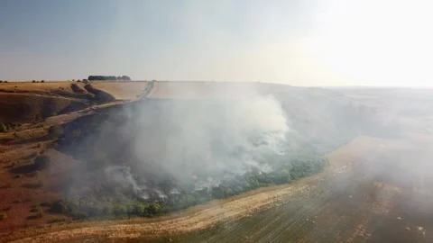 A wildfire in Wiltshire, Bratton camp. Summer 2026. Grass and brush burn, Aerial Stock Footage 342256341