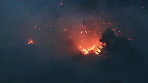 Wildfire with wind sequence Stock Footage 133948642