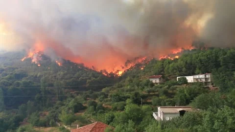 Wildfire zoom in sequence Stock Footage 133948326