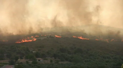 Wildfire01 Video stock 141938