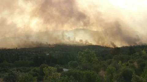 Wildfire02 Video stock 141964