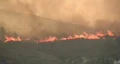 wildfire04 HD Footage