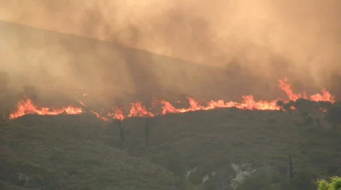 Wildfire04 Video stock 141813