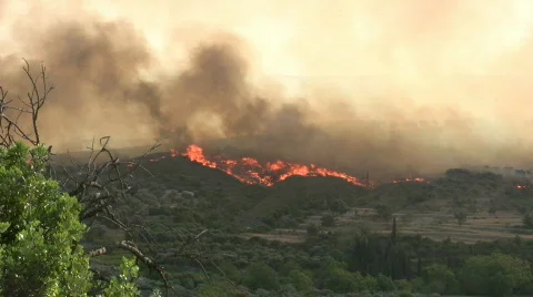 Wildfire05 Video stock 142016