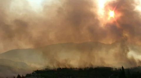 Wildfire06 Video stock 141889