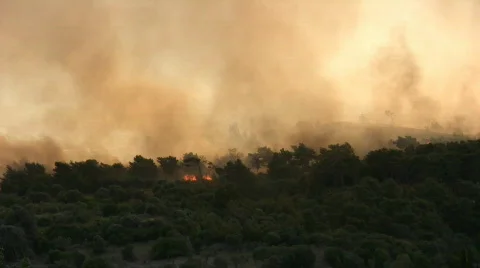 Wildfire07 스톡 동영상 142167