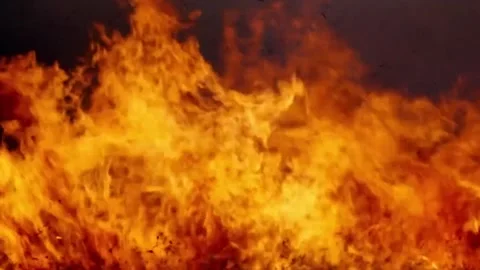 Wildfires, Intense Forest Fire, Bright Orange and Yellow Flames Against Dark Stock-Footage 328896438