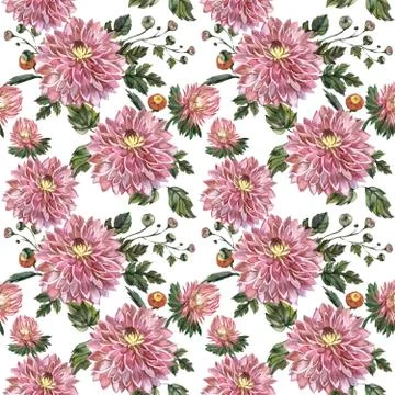 Wildflower aster flower pattern in a watercolor style isolated Stock-Illustration