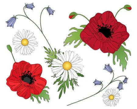 Wildflower background Stock Illustration
