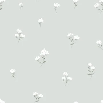 Wildflower bedstraw flower seamless pattern flat Stock Illustration