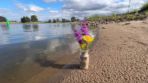 Wildflower Bouquet by Gentle River Waves on Sandy Shore Stock Footage 341463680